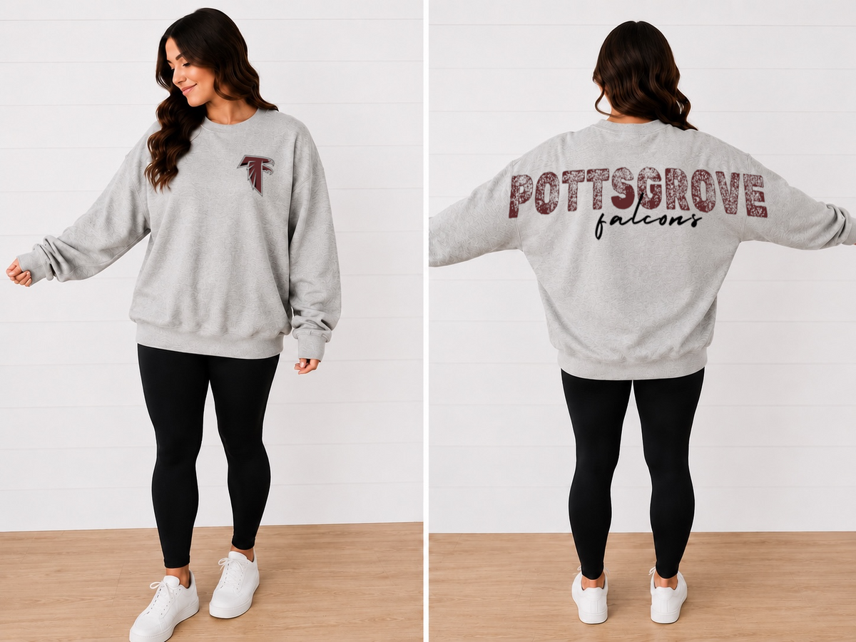 Big Back POTTSGROVE Falcons